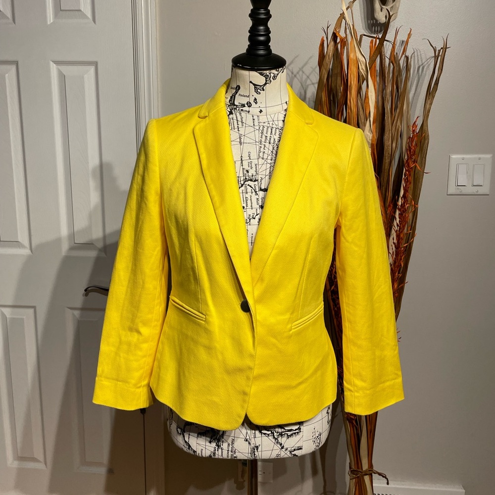 NWOT Ann Taylor Vintage colorful 1-Button cotton preppy Work vibrant tailored 4